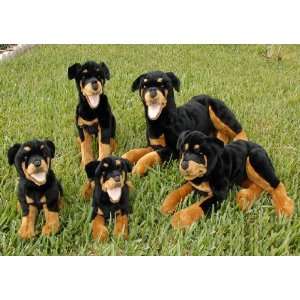   Dog Puppet 16 Inches Lying (Pictured on Far Right): Toys & Games