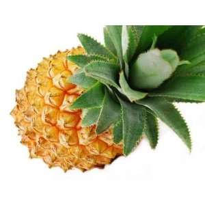  Ananas Dessus   Peel and Stick Wall Decal by Wallmonkeys 