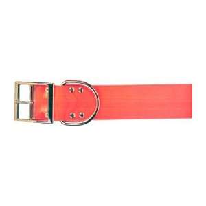  SunGlo Collar   2 feet x 27 inch: Everything Else