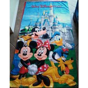    Walt Disney World Fab 5 Castle Beach Towel: Home & Kitchen