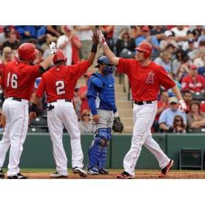  Los Angeles Dodgers v Los Angeles Angels of Anaheim, TEMPE 