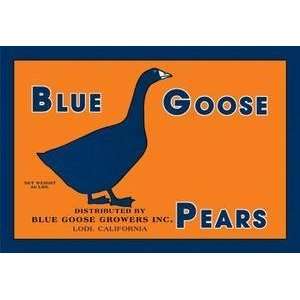  Vintage Art Blue Goose Pears   12885 2: Home & Kitchen