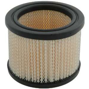  Allstar ALL13014 Replacement Filter for Driver Fresh Air 