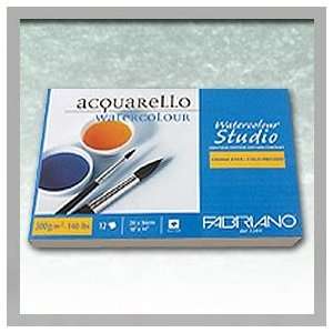   Studio Watercolor Paper   140 lb. 12 Sheet Pad 10x14 Office Products