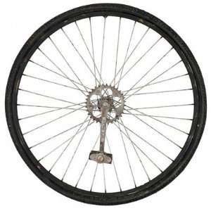  Paragon Bicycle Wheel 26x26 Wall Art