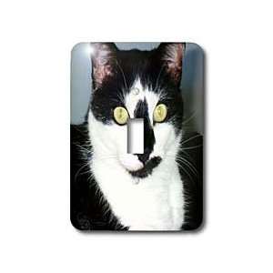  Florene Cat   Funny Face   Light Switch Covers   single 