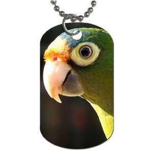  Parrot Dog Tag with 30 chain necklace Great Gift Idea 