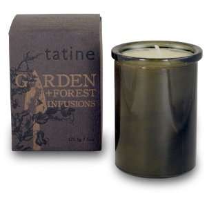  Creeping Moss Tatine Garden Forest Infusion Candle