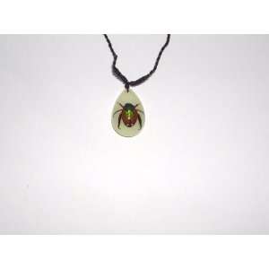  Glow in the dark Real Insect Necklace (YD0668): Everything 
