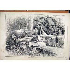   : Otter Hunting 1884 Cover River Yorks Dogs Old Print: Home & Kitchen