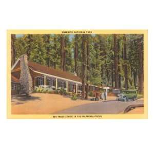  Big Trees Lodge, Mariposa Grove, Yosemite Giclee Poster 