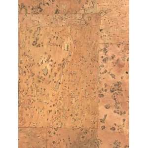  Phillip Jeffries PJ 4758 Java Cork   Natural Wallpaper 