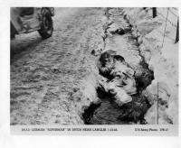 WWII US ARMY OFFICIAL Photo DEAD GERMAN IN DITCH LANGLIR & DVD 5000 