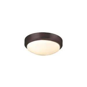 World Imports   9302 55  2 Lt. Flush Mount Fixture   Brushed Nickel