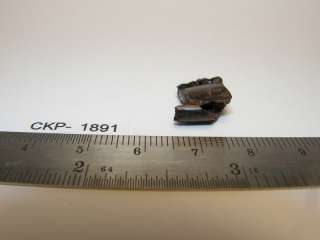 Hell Creek Formation of Montana Partial Mammal Dentary with Two Teeth 