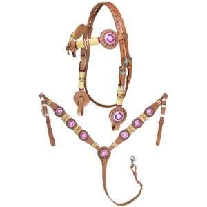  Rawhide Bridle/Breast Collar/Reins Set