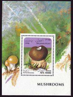 Afghanistan 1668 1673,1674 Bl.86 Michel,MNH. Mushrooms 1996.  
