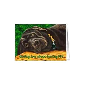  Funny Birthday ~ 75 Years Old ~ Labrador Dog Card: Toys 
