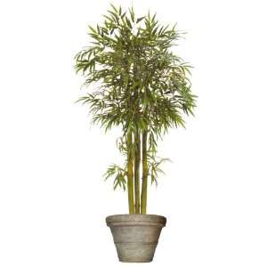  7FT BAMBOO TREE/2PC: Home & Kitchen
