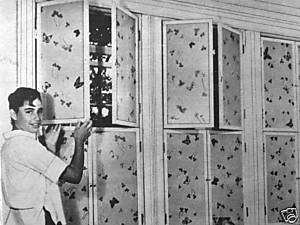 You can build BUTTERFLY SHUTTERS: Plans  