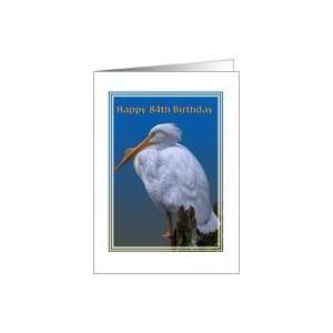  84th Birthday Card with American White Pelican Card Toys 
