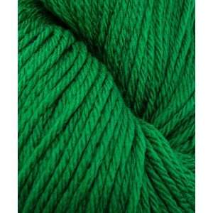  Cascade 220 Yarn #8894 Christmas Green Arts, Crafts 