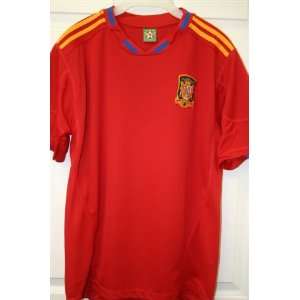  2010 World cup Adult Spain home Jersey sizes L: Sports 