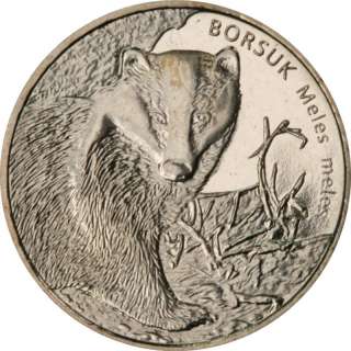 zl   Animals of the World – European Badger   2011  
