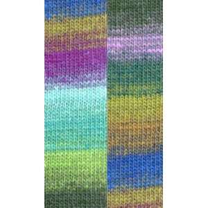  Noro Kureyon Sock 254 Yarn Arts, Crafts & Sewing