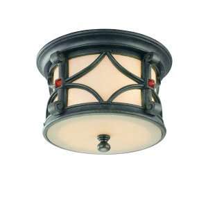  Woodridge Collection 13 1/2 Wide Outdoor Ceiling Light 