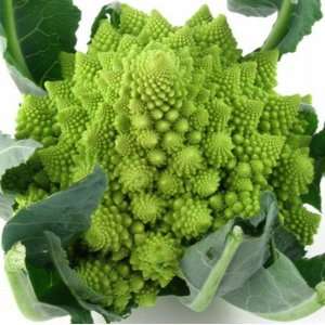  Romanesco Italia Broccoli Seeds