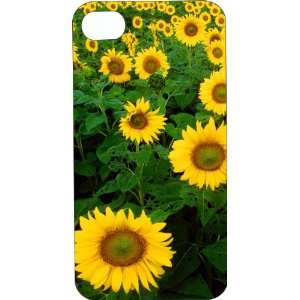 Black Hard Plastic Case Custom Designed Field of Sunflowers iPhone 