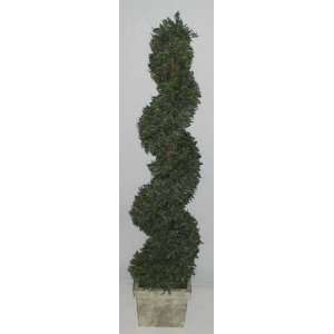  48 INDOOR / OUTDOOR Spiral Dusty Miller Topiary