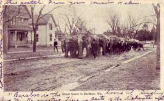 BARABOO WIS   STREET SCENE ELEPHANTS dirt road 1906  