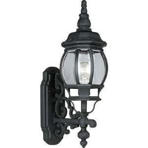  Onion Outdoor Wall Lantern Finish White