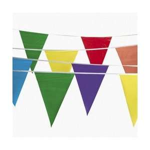    100 Multicolor Pennant Banner (6 Pcs) [Toy]: Everything Else