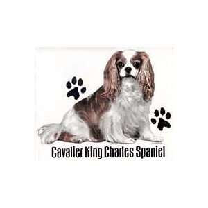  Cavalier King Charles Spaniel Shirts: Pet Supplies