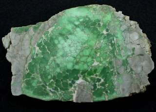   Utah Variscite Spiderweb Rough Slab Slice Gem Stone Gemstone  
