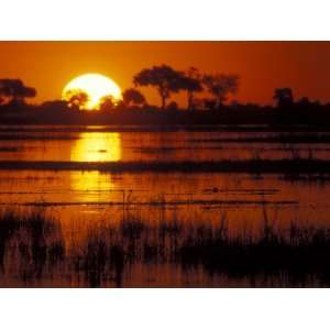  Setting Sun over Lush Banks, Chobe National Park, Botswana 