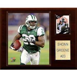  NFL Shonn Greene New York Jets Player Plaque: Home 