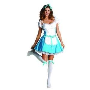  Adult Alice in Wonderland Costume Size Size Small (2 4 