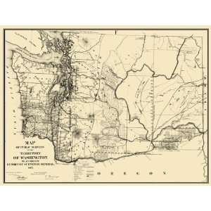  WASHINGTON (WA) TERRITORY PUBLIC SURVEY 1865 MAP