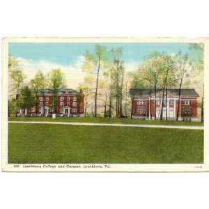   Vintage Postcard   Lynchburg College and Campus   Lynchburg Virginia