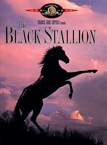   Stallion DVD, 1997, Letterbox and Standard Family Treasures  