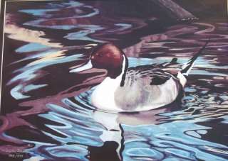 Duck Pintail Framed Art Ducks Unlimited Wanye Dowdy  