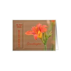   Granddaughter ~ Age Specific 20th ~ Orange Day Lily Card Toys & Games