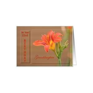   Granddaughter ~ Age Specific 23rd ~ Orange Day Lily Card Toys & Games