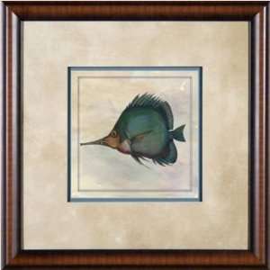  Phoenix Galleries HP762 Tropical Fish 4 Framed Print   21 