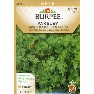  Burpee 66084 Herb Parsley, Single Italian Plain Leafed 