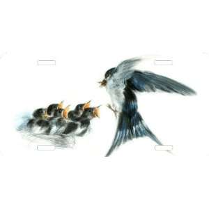 Rikki KnightTM Swallow Bird with Babies Cool Novelty License Plate 